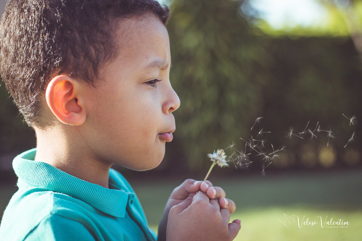 menino assopra dente de leão