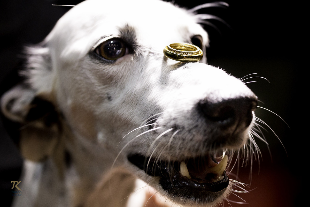 ensaio para save the date de Fabiana e Alexandre. Foto tirada no Cine Brasília.