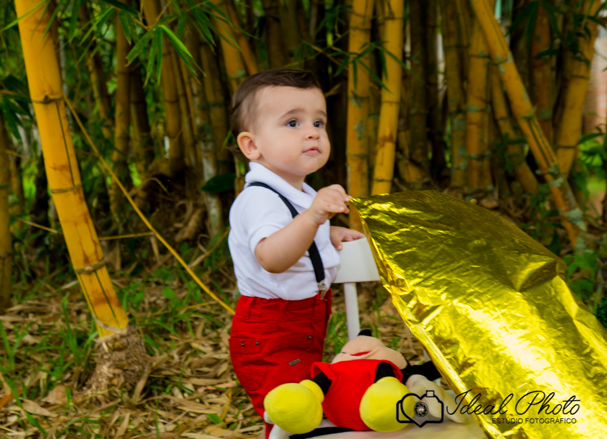Smash the cake, fotografa Joselaine Benfatto Ideal Photo, Praia Grande - SC.