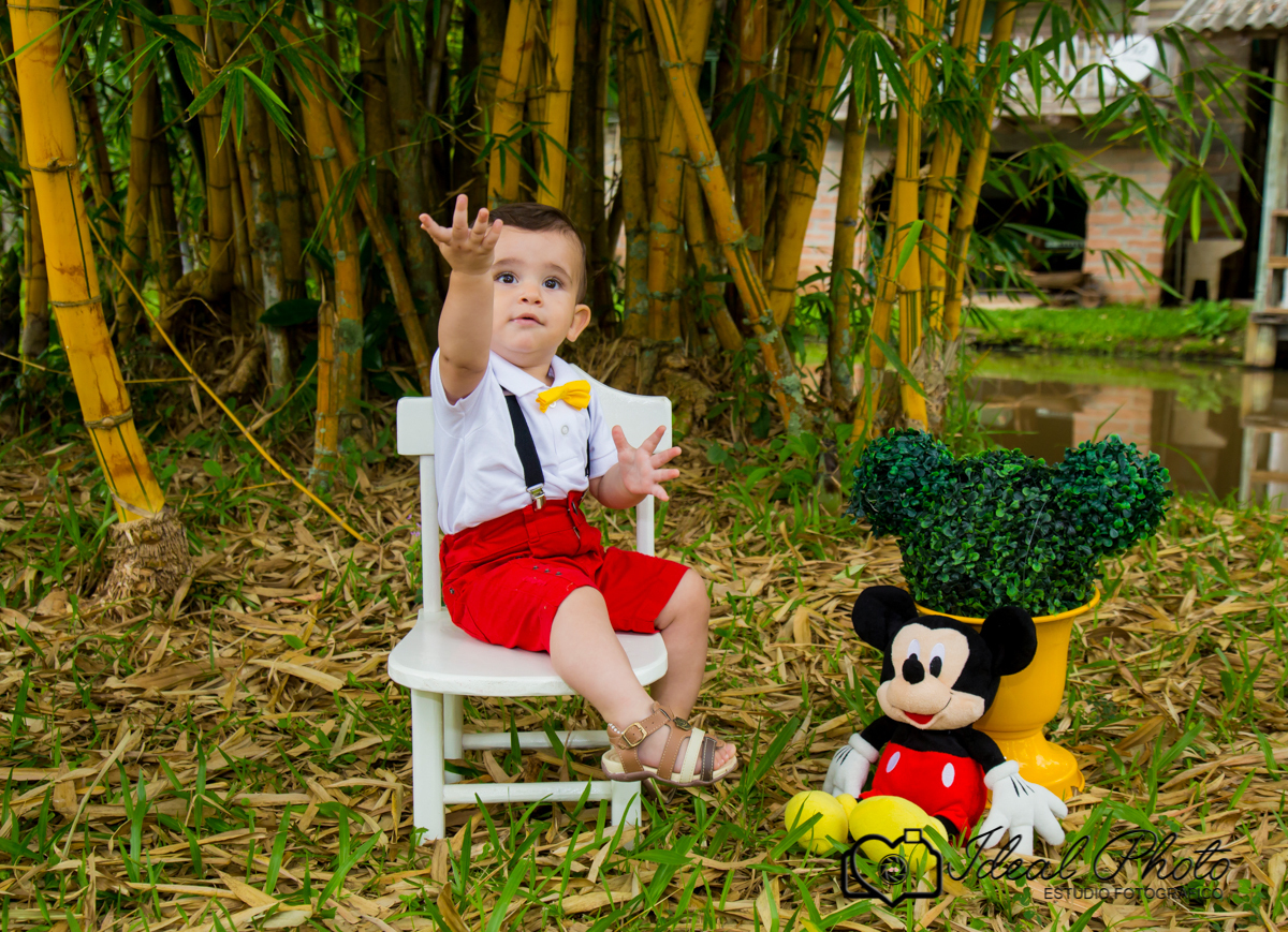 Smash the cake, fotografa Joselaine Benfatto Ideal Photo, Praia Grande - SC.