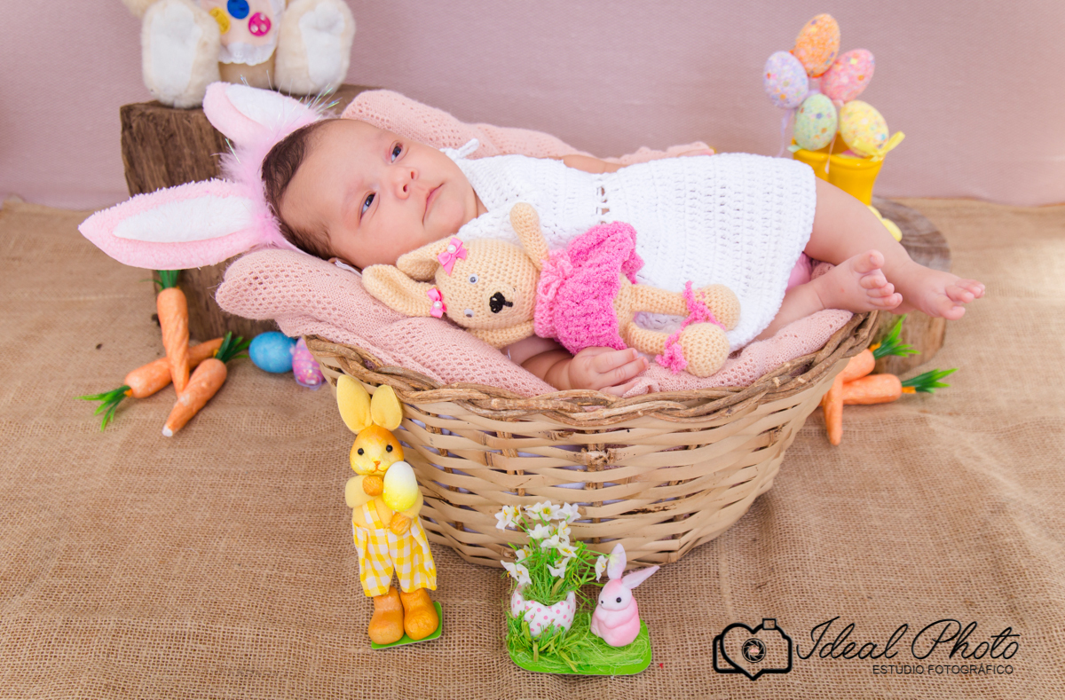 bebes acompanhamento sao joao do sul praia grande sc ideal photo 