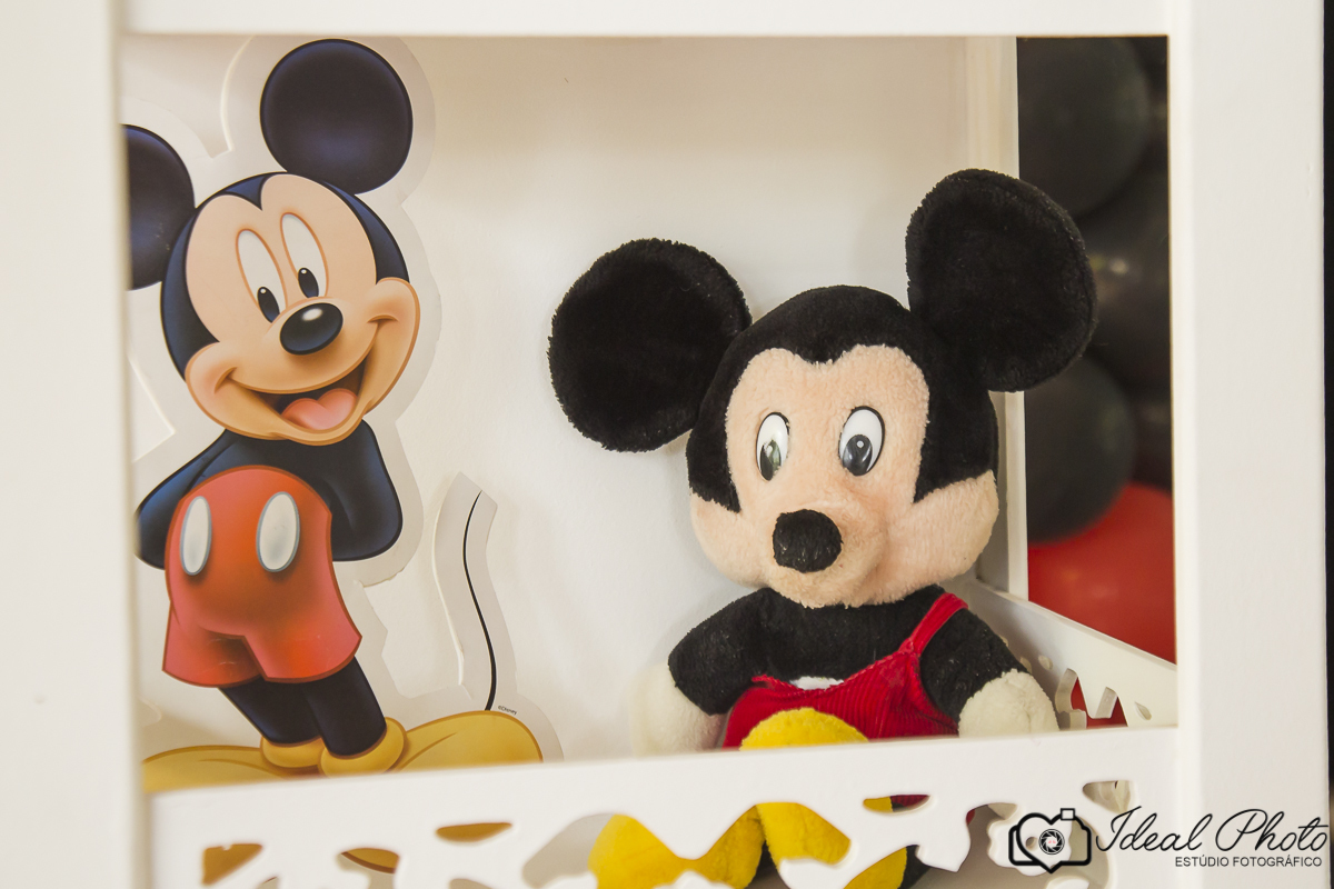  aniversario   aniver kids  bebes acompanhamento sao joaoa do sul praia grande sc ideal photo joselaine benfatto