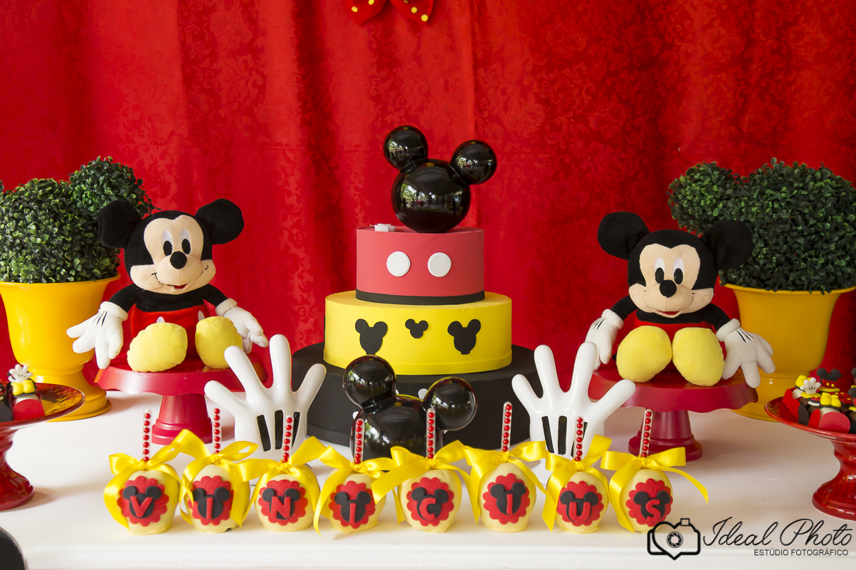  aniversario   aniver kids  bebes acompanhamento sao joaoa do sul praia grande sc ideal photo joselaine benfatto