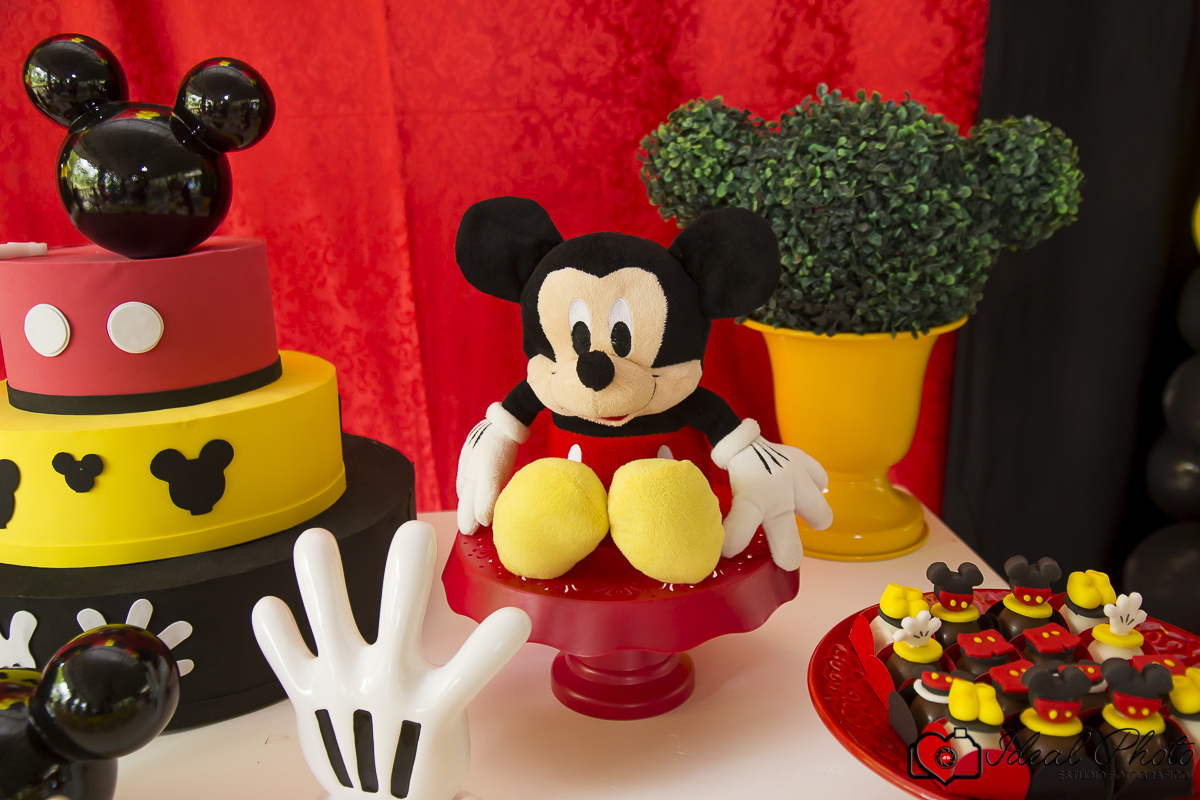  aniversario   aniver kids  bebes acompanhamento sao joaoa do sul praia grande sc ideal photo joselaine benfatto