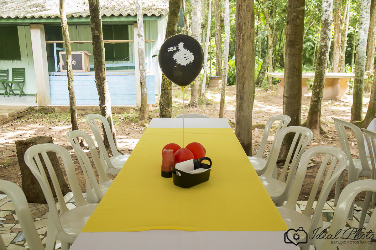  aniversario   aniver kids  bebes acompanhamento sao joaoa do sul praia grande sc ideal photo joselaine benfatto