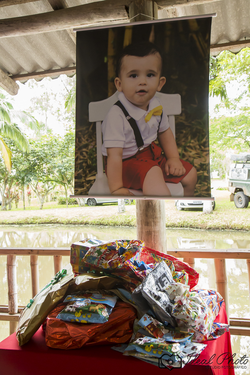  aniversario   aniver kids  bebes acompanhamento sao joaoa do sul praia grande sc ideal photo joselaine benfatto