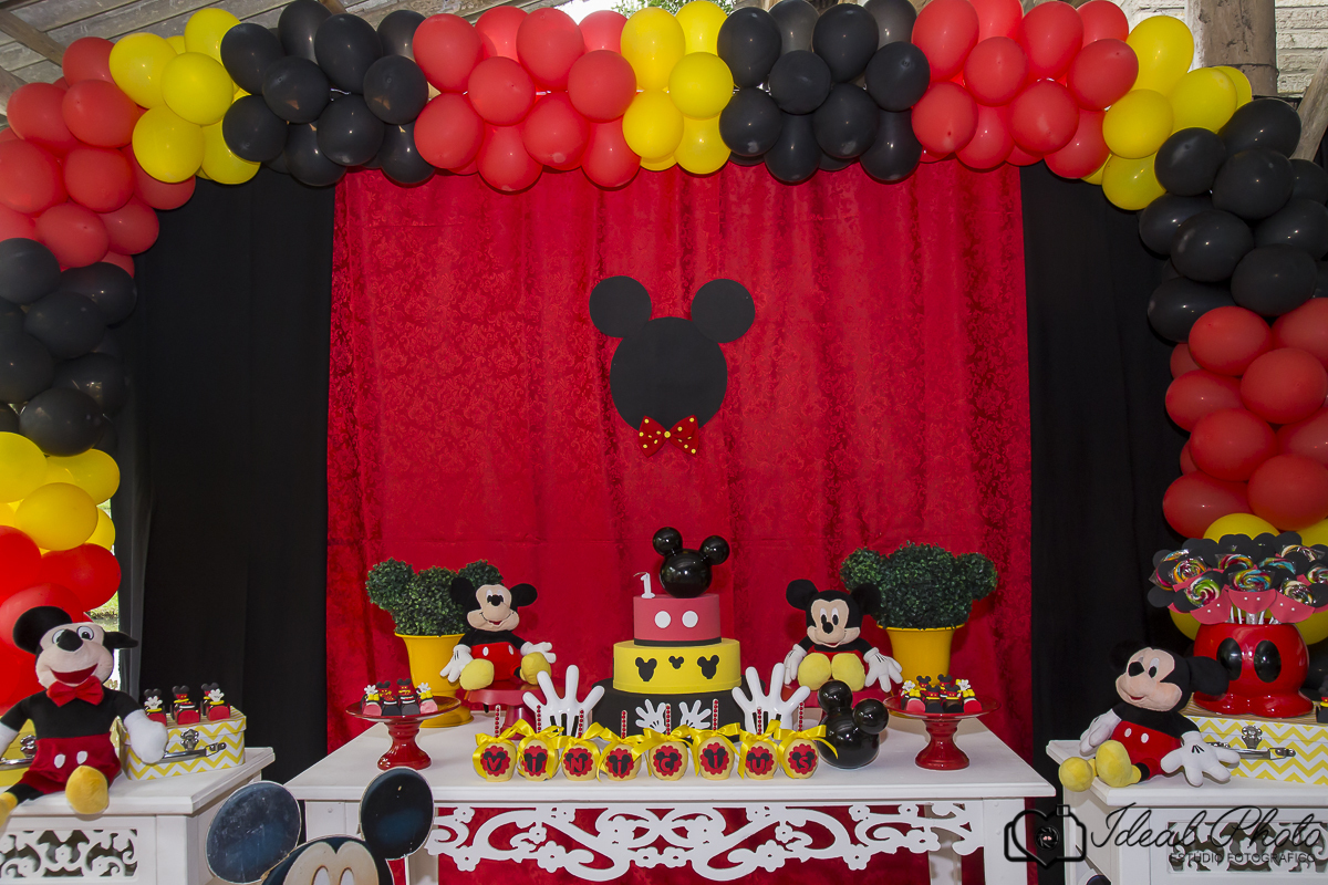  aniversario   aniver kids  bebes acompanhamento sao joaoa do sul praia grande sc ideal photo joselaine benfatto