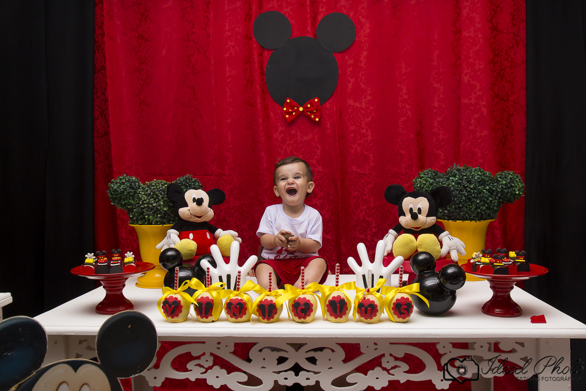  aniversario   aniver kids  bebes acompanhamento sao joaoa do sul praia grande sc ideal photo joselaine benfatto