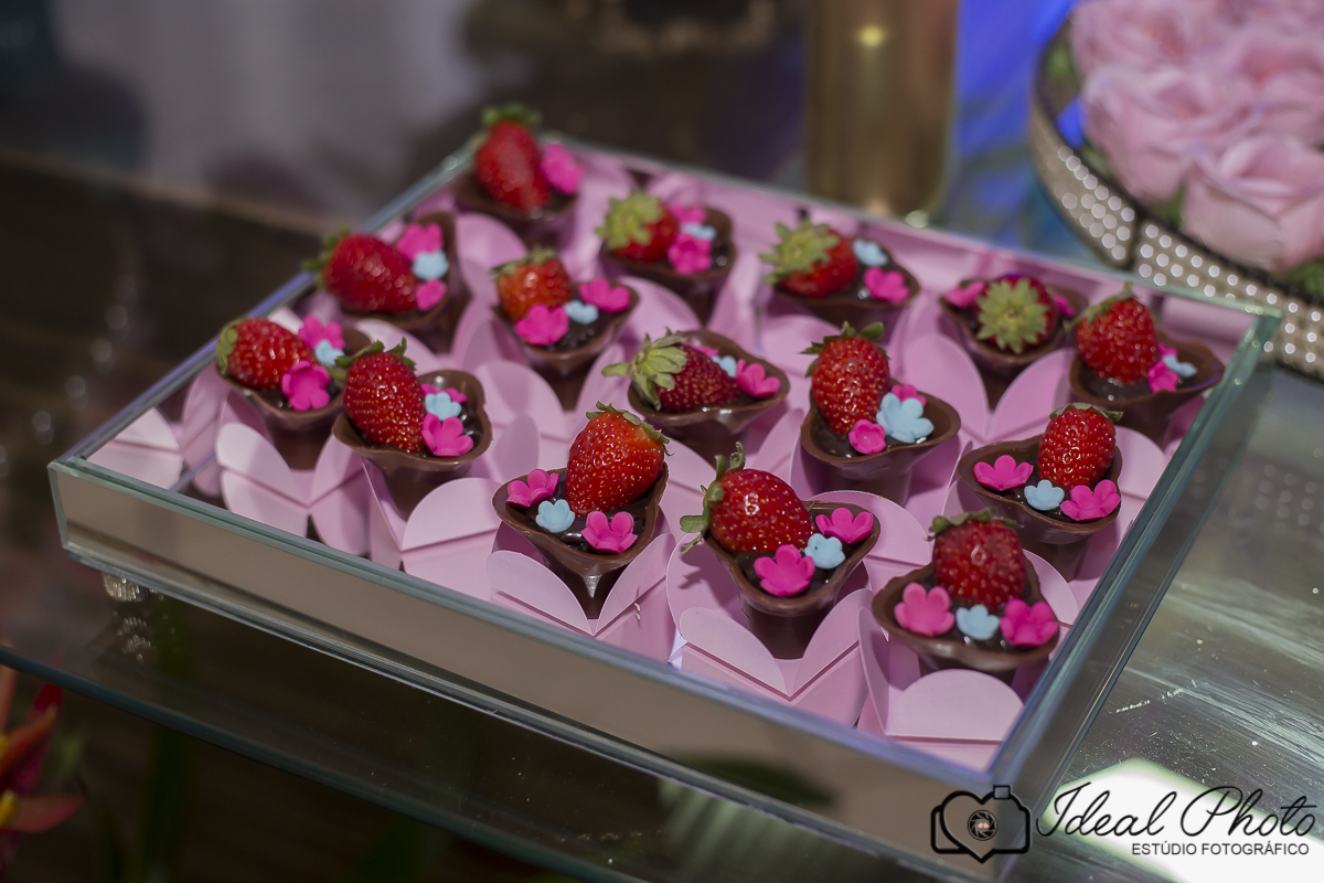  aniversario -   aniver  15 anos -sao joaoa do sul -praia grande sc -ideal photo- joselaine benfatto