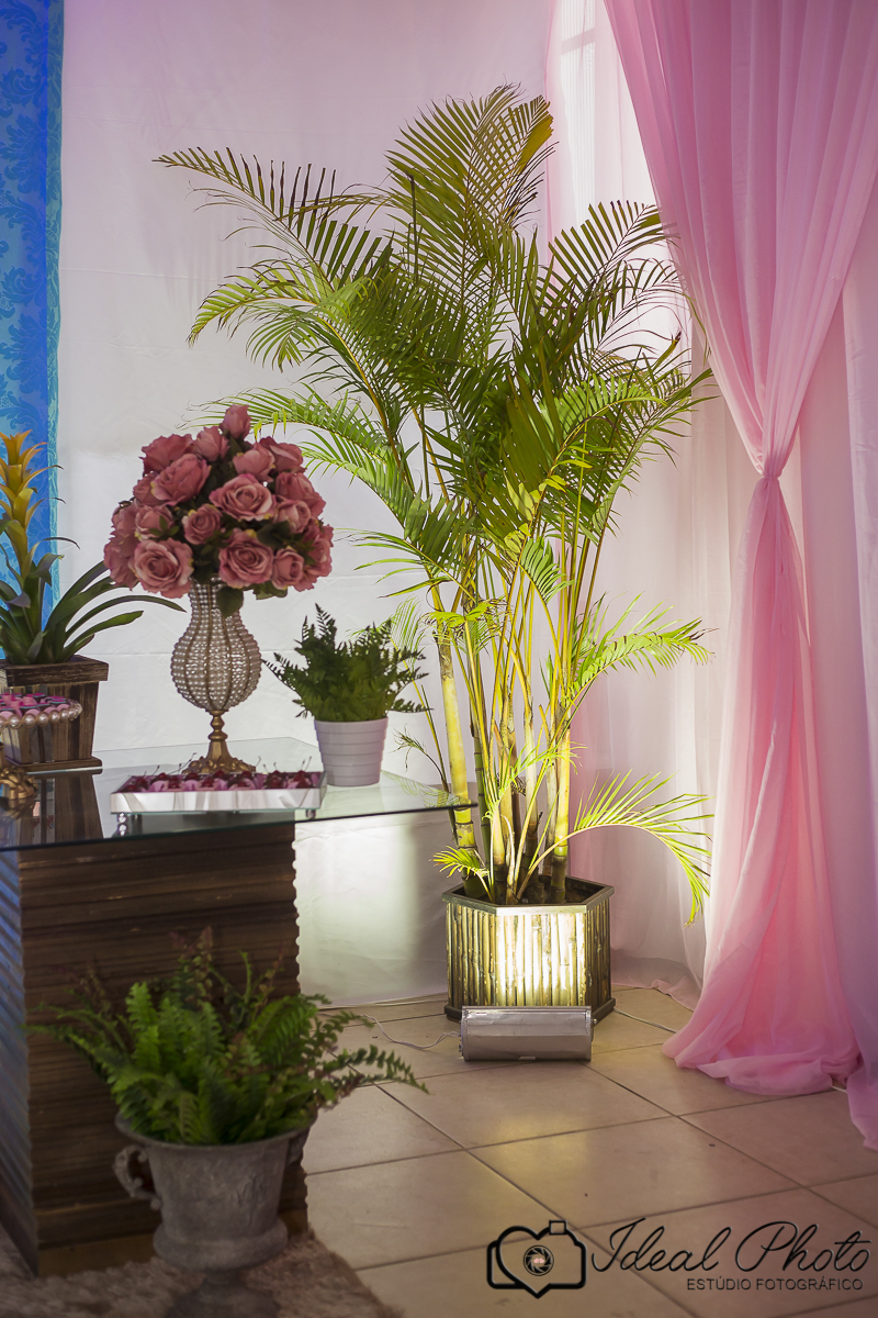  aniversario -   aniver  15 anos -sao joaoa do sul -praia grande sc -ideal photo- joselaine benfatto