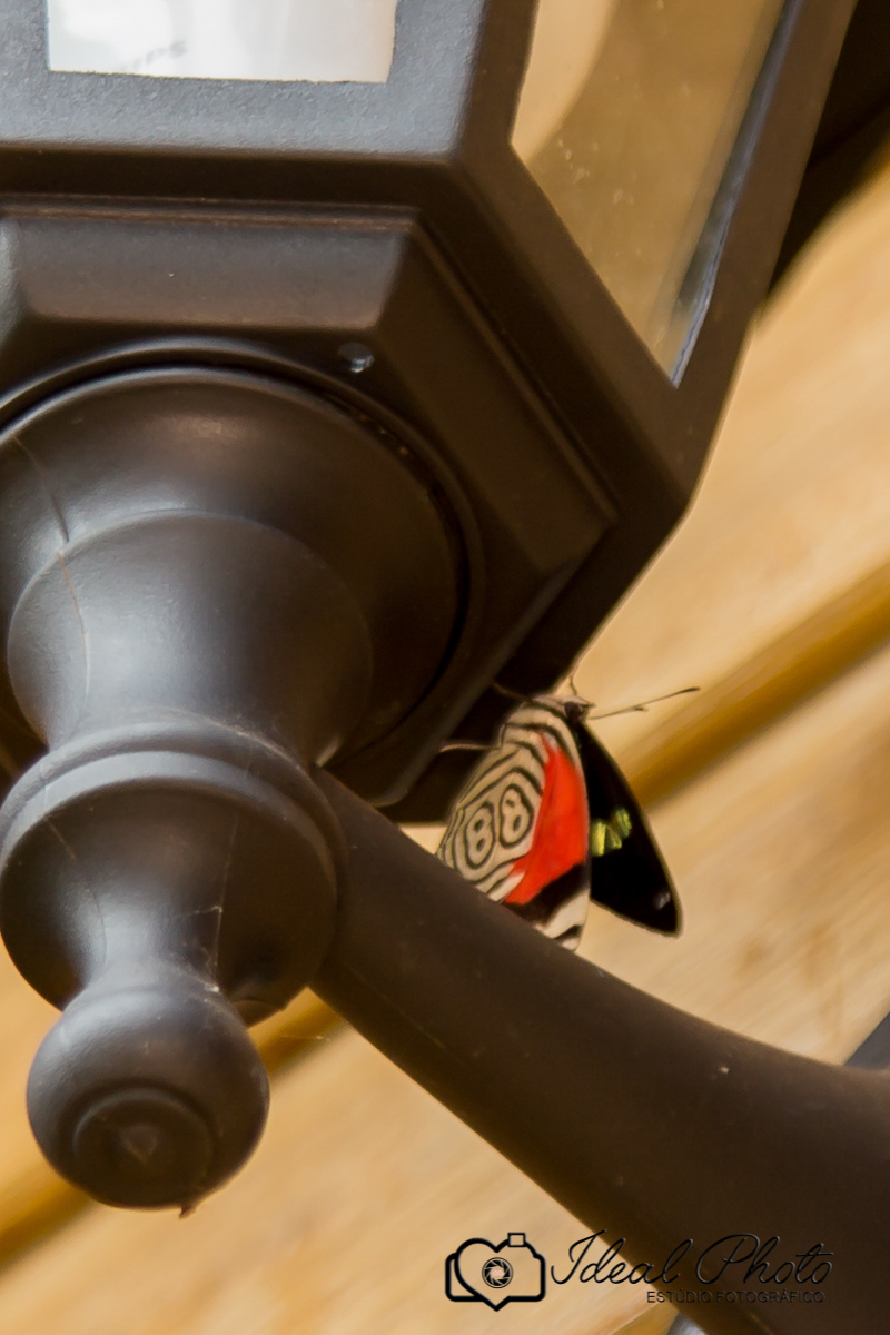 canyons dosul - praia grande - pk  - idealphoto ideal photo - joselaine benfatto - chale - canyons - calor frio -