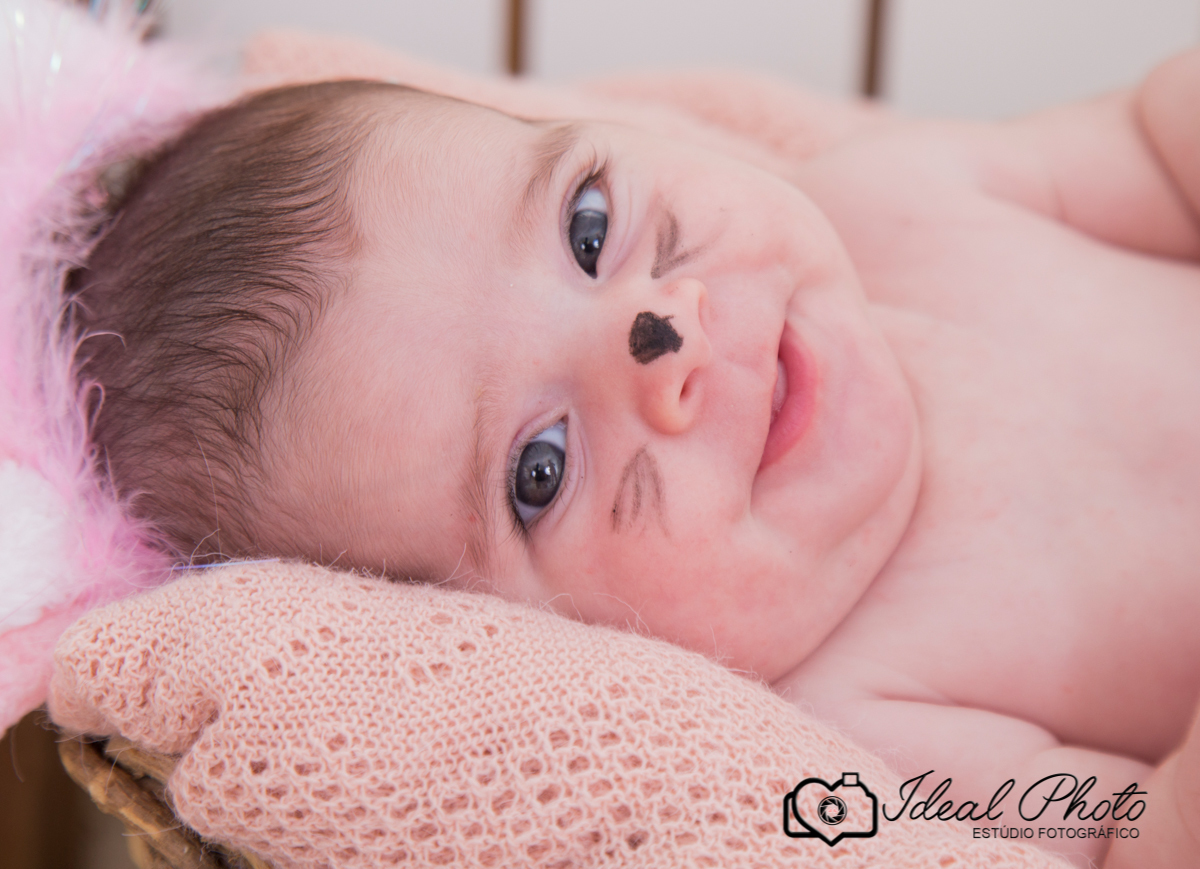 bebes acompanhamento sao joao do sul praia grande sc ideal photo joselaine benfatto