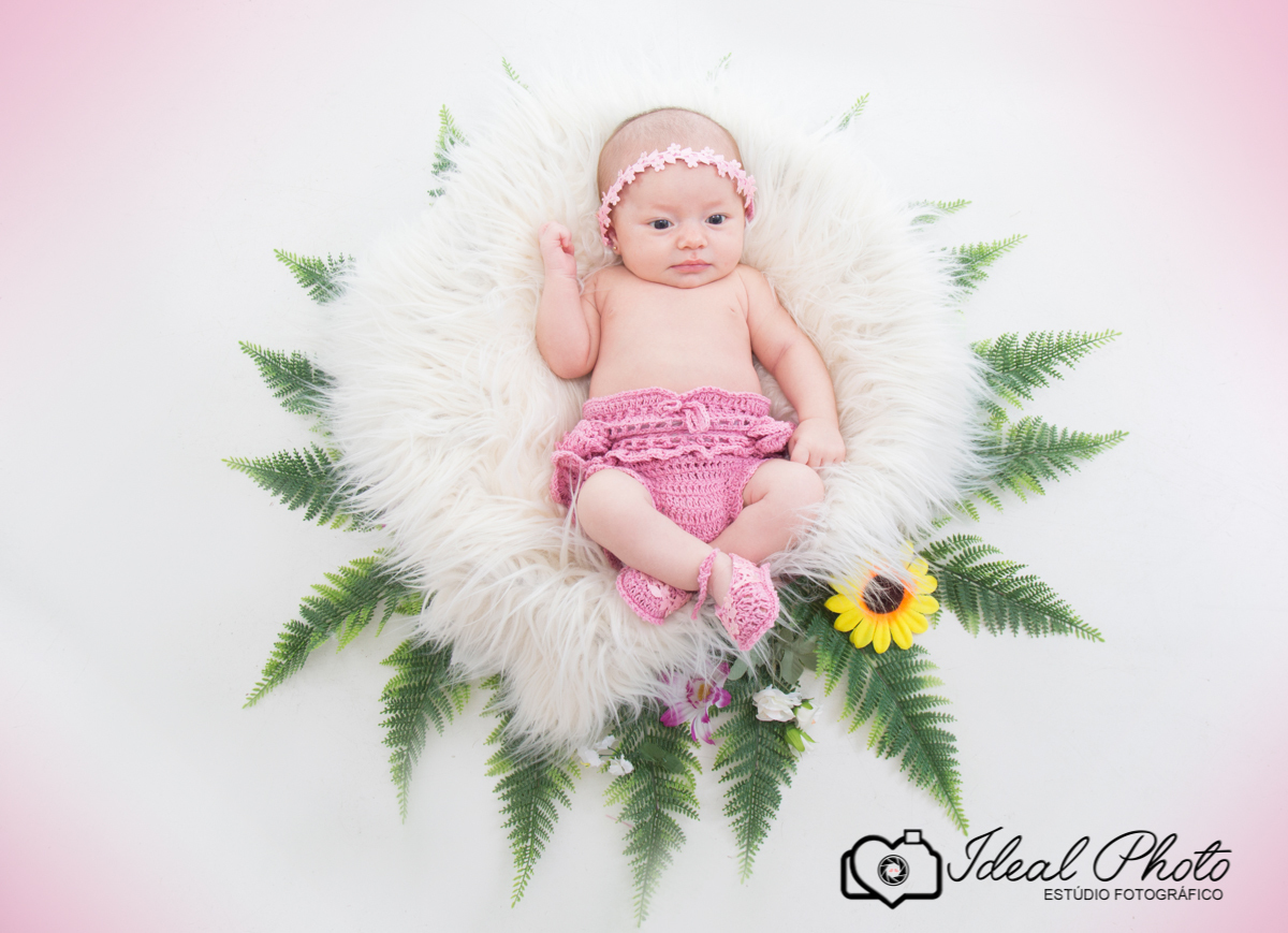 bebes acompanhamento sao joao do sul praia grande sc ideal photo joselaine benfatto