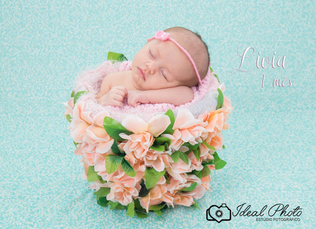 bebes acompanhamento sao joao do sul praia grande sc ideal photo joselaine benfatto