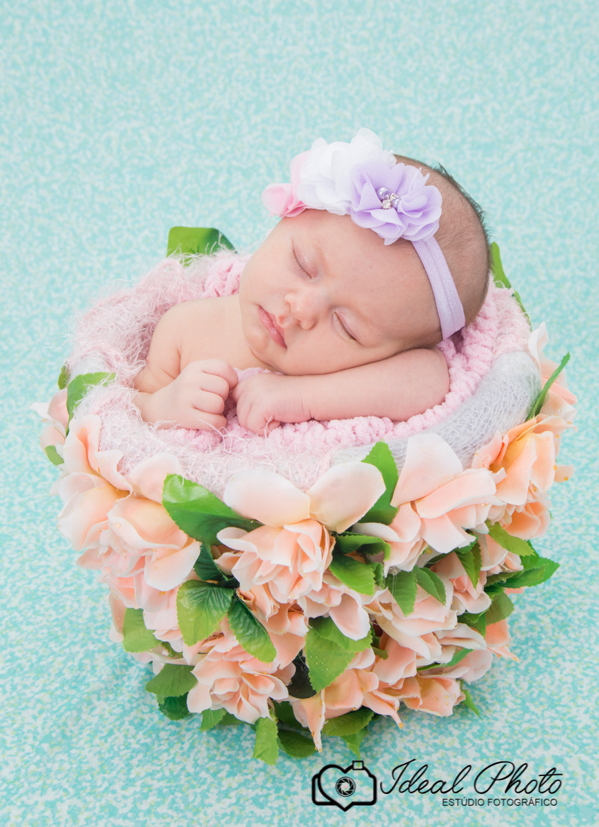 bebes acompanhamento sao joao do sul praia grande sc ideal photo joselaine benfatto