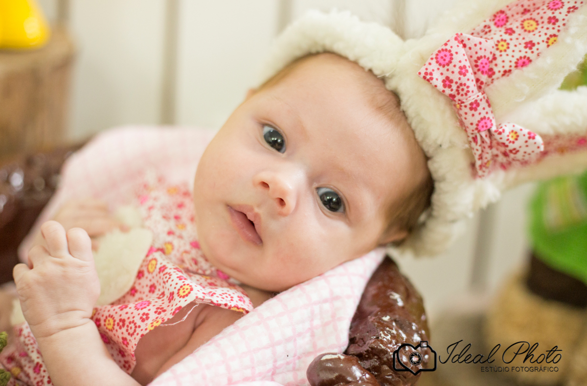 bebes acompanhamento sao joao do sul praia grande sc ideal photo joselaine benfatto