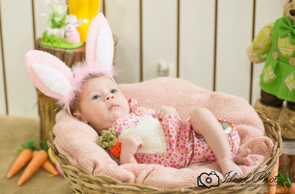 bebes acompanhamento sao joao do sul praia grande sc ideal photo joselaine benfatto