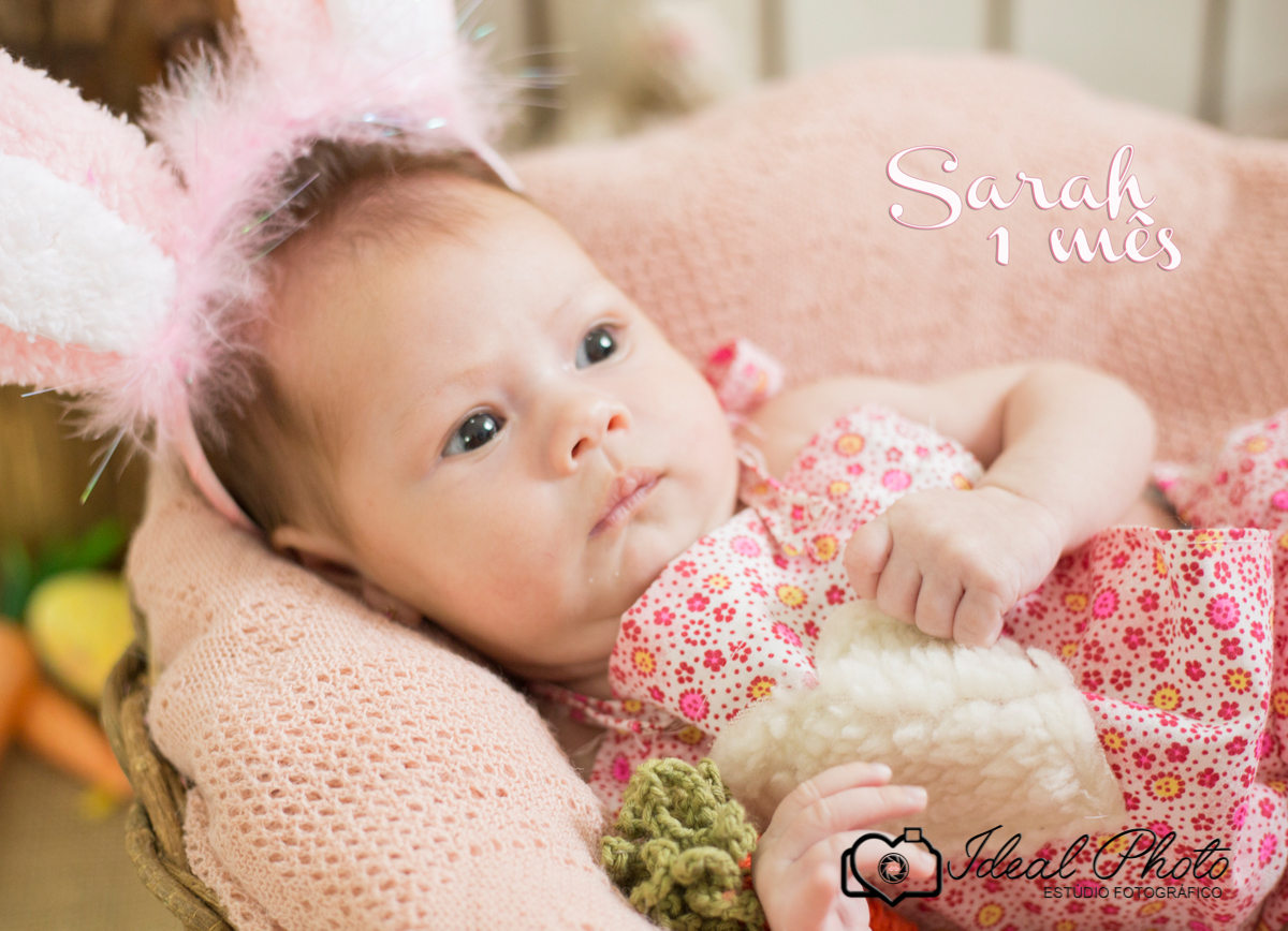 bebes acompanhamento sao joao do sul praia grande sc ideal photo joselaine benfatto