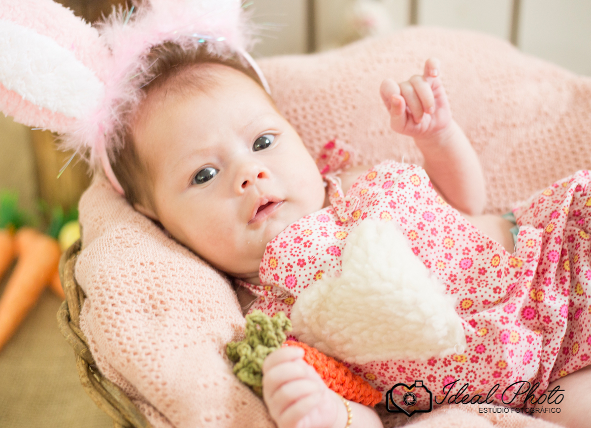 bebes acompanhamento sao joao do sul praia grande sc ideal photo joselaine benfatto