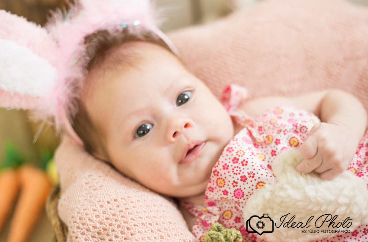 bebes acompanhamento sao joao do sul praia grande sc ideal photo joselaine benfatto