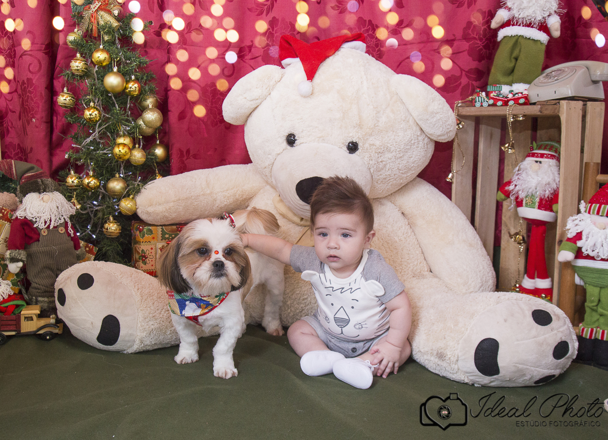 Ideal photo -joselaine benfatto-ensaio - book- sao joao do sul -praia grande -sc- itaimbezinho-pousada -morada dos canyons-parque -aparados-da-serra-casamento-gestantes-kids-bebes-acompanhamento-torres-rs-sc-