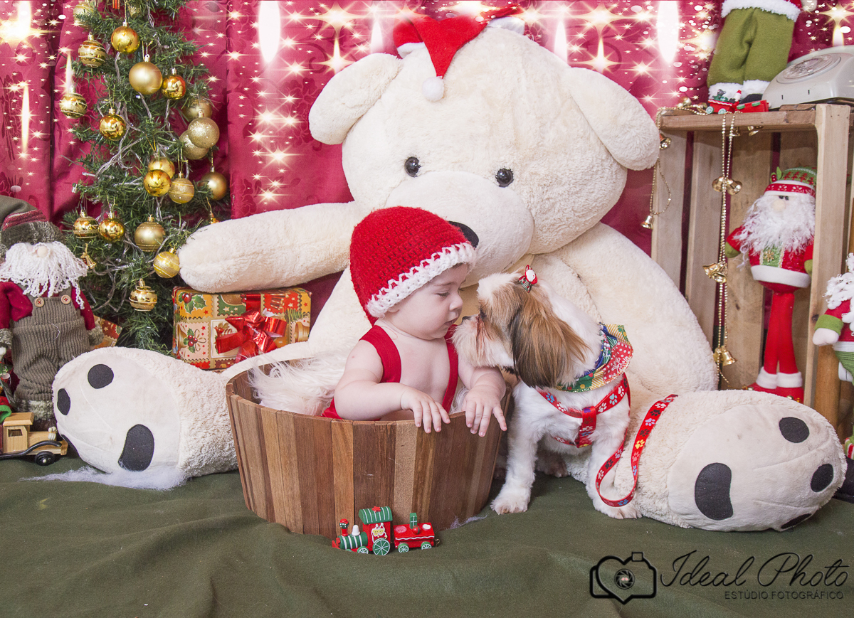 Ideal photo -joselaine benfatto-ensaio - book- sao joao do sul -praia grande -sc- itaimbezinho-pousada -morada dos canyons-parque -aparados-da-serra-casamento-gestantes-kids-bebes-acompanhamento-torres-rs-sc-