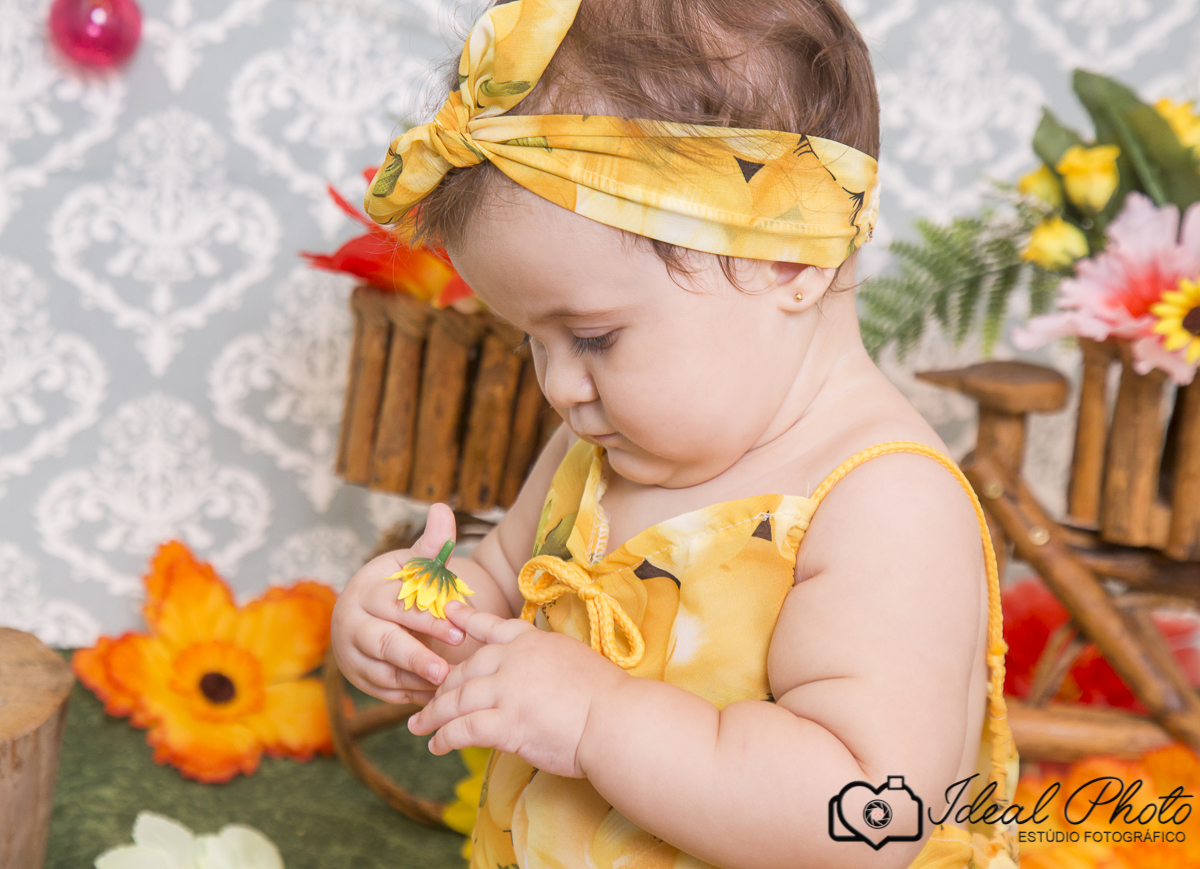 Ideal photo -joselaine benfatto-ensaio - book- sao joao do sul -praia grande -sc- itaimbezinho-pousada -morada dos canyons-parque -aparados-da-serra-casamento-gestantes-kids-bebes-acompanhamento-torres-rs-sc-