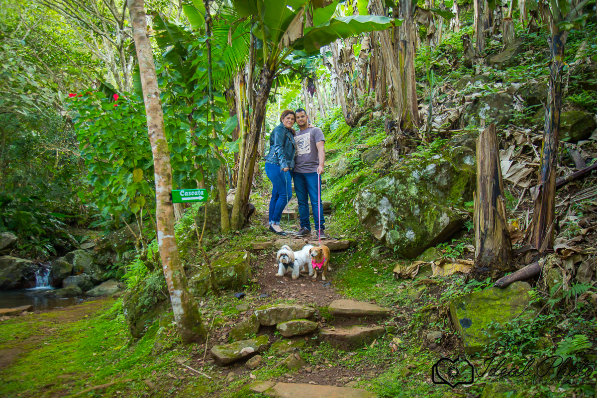 Ideal photo -joselaine benfatto-ensaio - book- sao joao do sul -praia grande -sc- itaimbezinho-pousada -morada dos canyons-parque -aparados-da-serra-casamento-gestantes-kids-bebes-acompanhamento- Pousada - Itaimbé