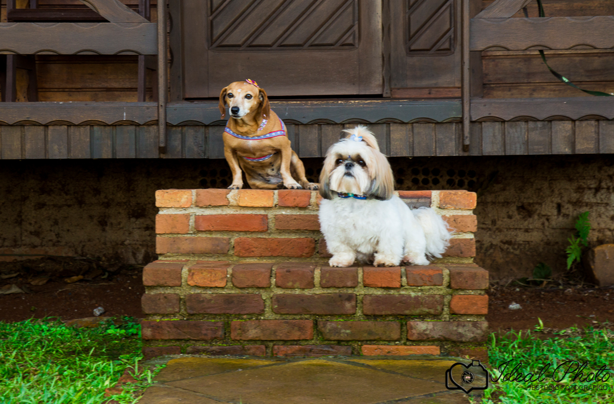 Ideal photo -joselaine benfatto-ensaio - book- sao joao do sul -praia grande -sc- itaimbezinho-pousada -morada dos canyons-parque -aparados-da-serra-casamento-gestantes-kids-bebes-acompanhamento- Pousada - Itaimbé