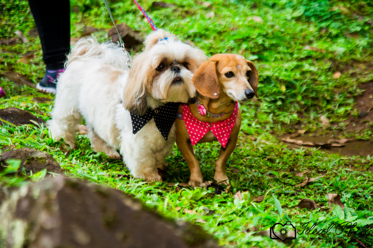 Ideal photo -joselaine benfatto-ensaio - book- sao joao do sul -praia grande -sc- itaimbezinho-pousada -morada dos canyons-parque -aparados-da-serra-casamento-gestantes-kids-bebes-acompanhamento- Pousada - Itaimbé
