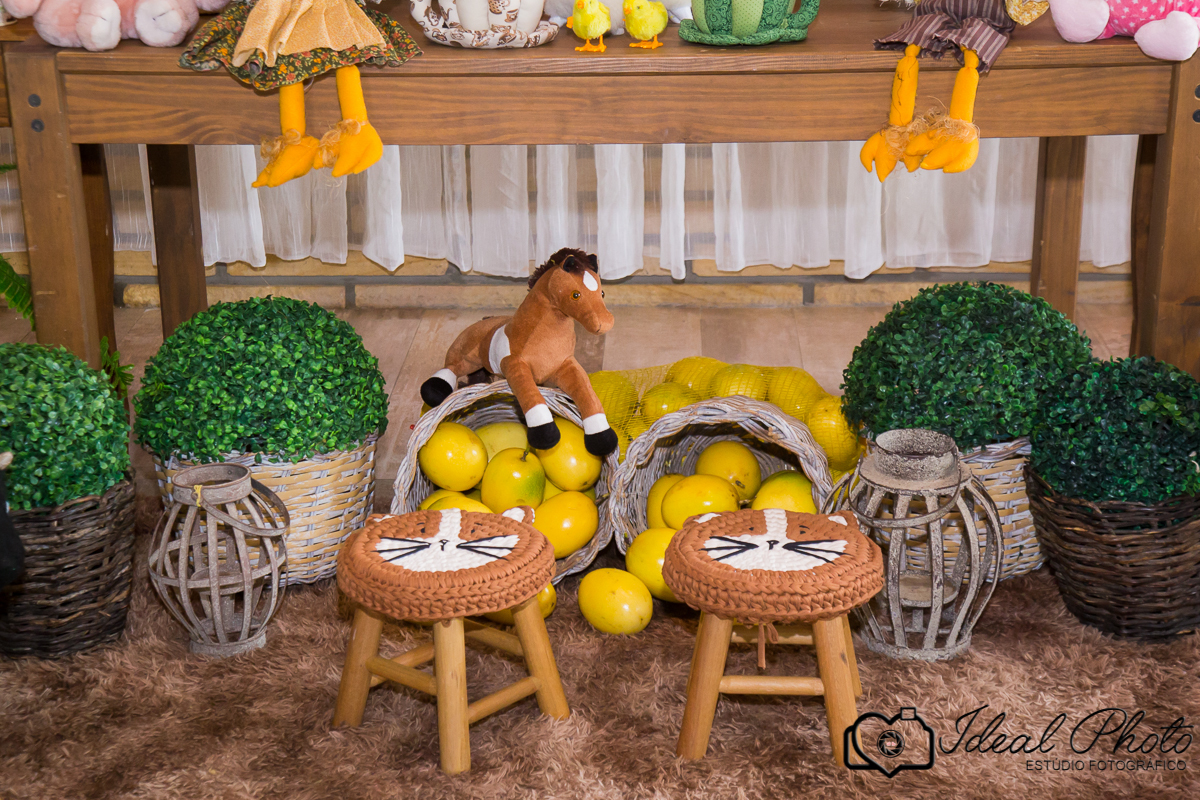 retratos-eventos-ensaios-newborn-kids-bebes-acompanhamento-sao-joao-do-sul-praia-grande-sc-ideal-photo-joselaine-benfatto-estudio-mais-vida