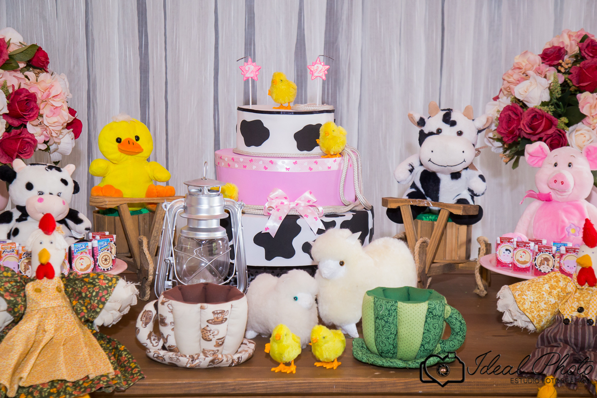 retratos-eventos-ensaios-newborn-kids-bebes-acompanhamento-sao-joao-do-sul-praia-grande-sc-ideal-photo-joselaine-benfatto-estudio-mais-vida