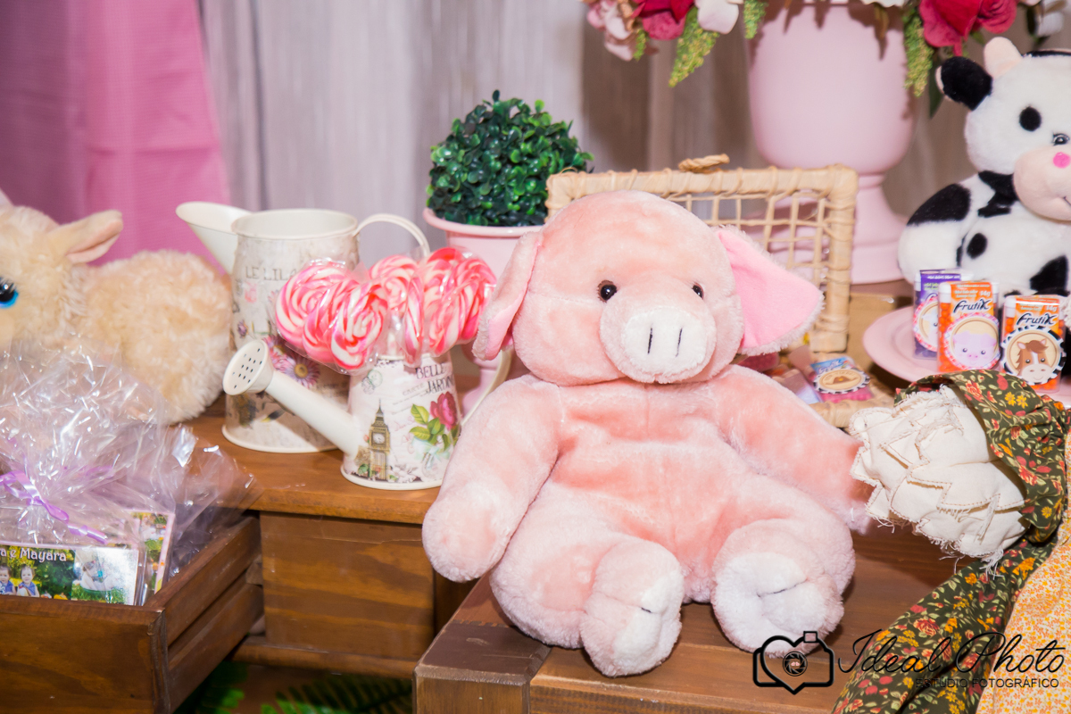 retratos-eventos-ensaios-newborn-kids-bebes-acompanhamento-sao-joao-do-sul-praia-grande-sc-ideal-photo-joselaine-benfatto-estudio-mais-vida