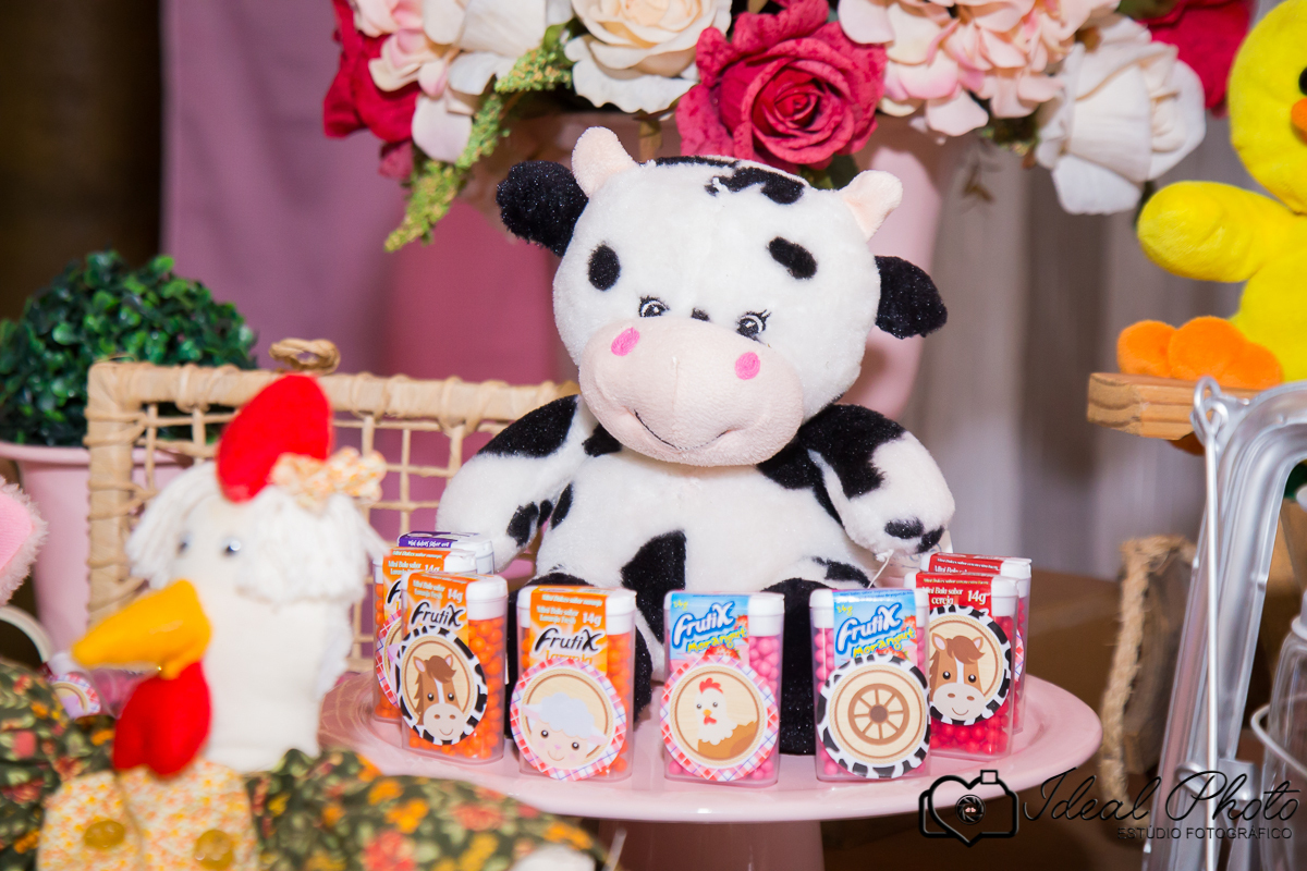 retratos-eventos-ensaios-newborn-kids-bebes-acompanhamento-sao-joao-do-sul-praia-grande-sc-ideal-photo-joselaine-benfatto-estudio-mais-vida