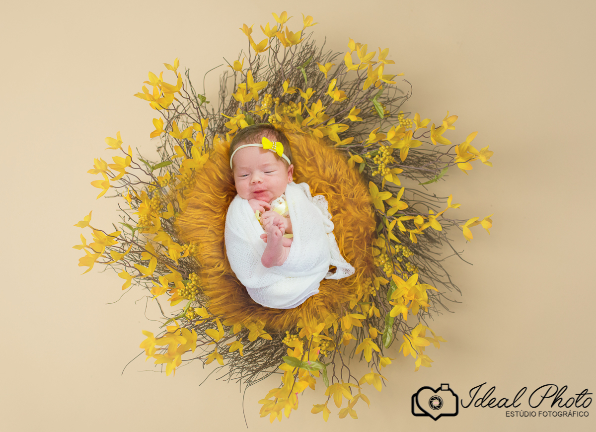 retratos-eventos-ensaios-newborn-kids-bebes-acompanhamento-sao-joao-do-sul-praia-grande-sc-ideal-photo-joselaine-benfatto-estudio-mais-vida-15- 15 anos