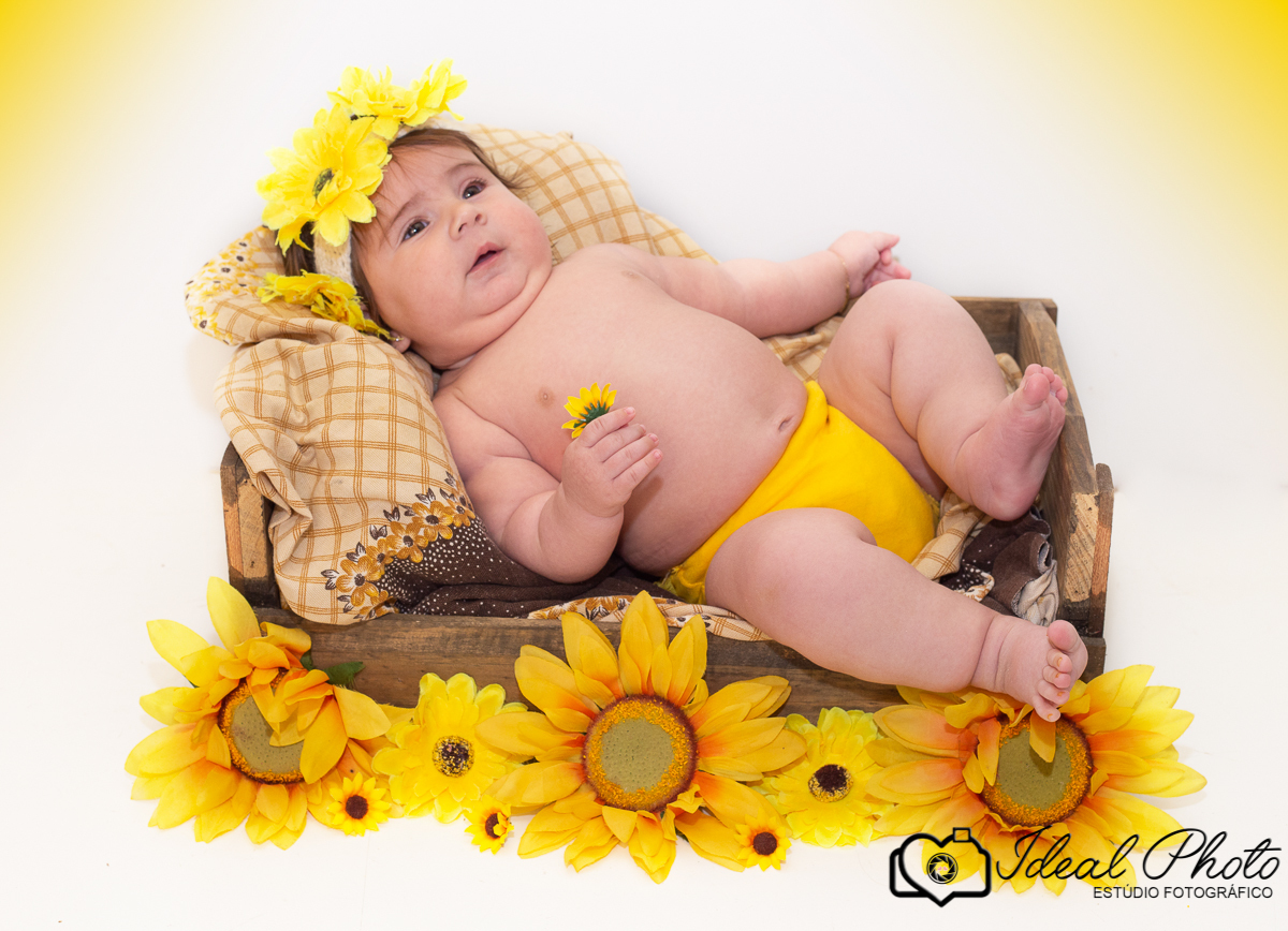 vAniversários, formaturas, retratos, eventos, ensaios, newborn, kids, bebes, acompanhamento em sao joao do sul e praia grande-sc-Estúdio Fotográfico Ideal Photo por Joselaine Benfatto