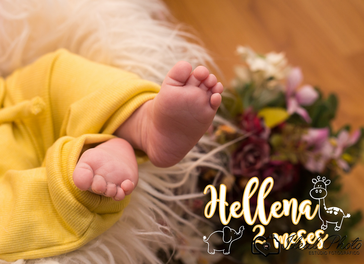 Aniversários, formaturas, retratos, eventos, ensaios, newborn, kids, bebes, acompanhamento em sao joão do sul e praia grande-sc anexo ao estúdio mais vida -Estúdio Fotográfico Ideal Photo por Joselaine Benfatto