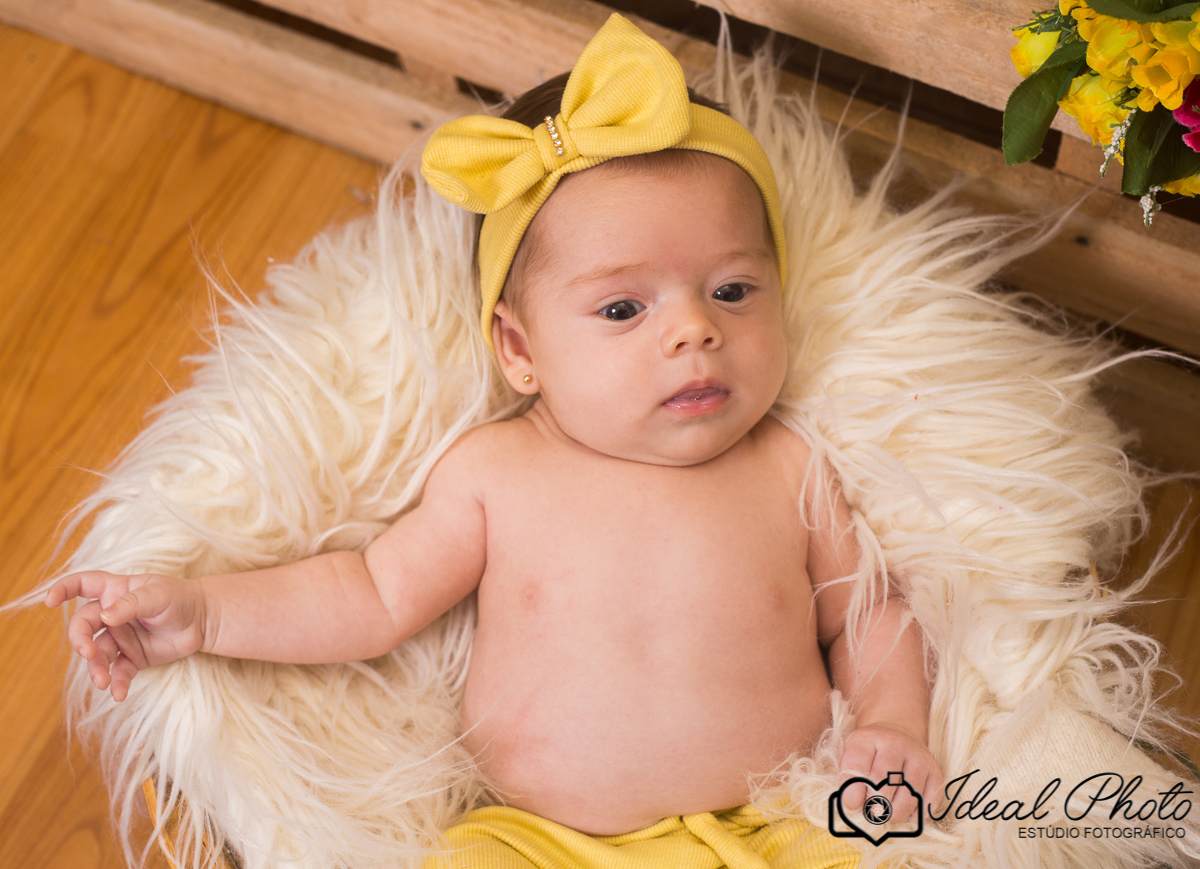 Aniversários, formaturas, retratos, eventos, ensaios, newborn, kids, bebes, acompanhamento em sao joão do sul e praia grande-sc anexo ao estúdio mais vida -Estúdio Fotográfico Ideal Photo por Joselaine Benfatto