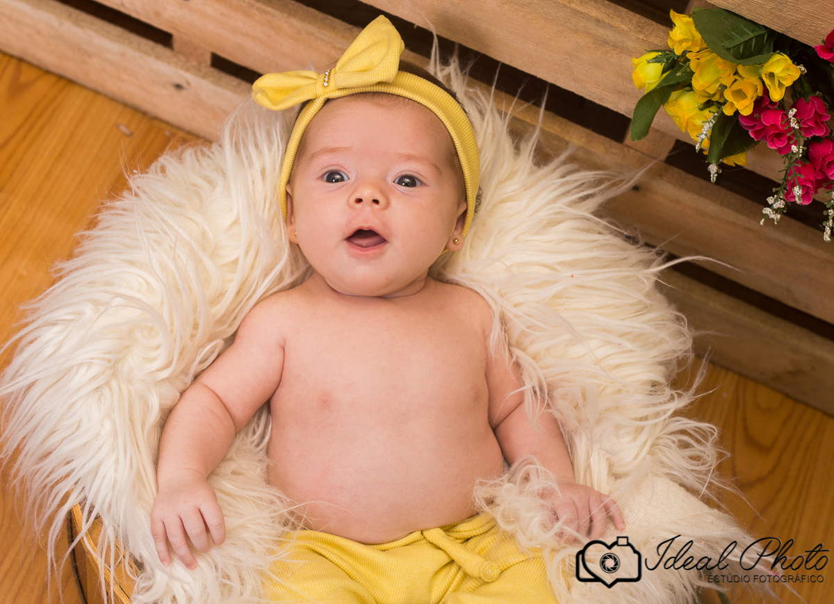 Aniversários, formaturas, retratos, eventos, ensaios, newborn, kids, bebes, acompanhamento em sao joão do sul e praia grande-sc anexo ao estúdio mais vida -Estúdio Fotográfico Ideal Photo por Joselaine Benfatto