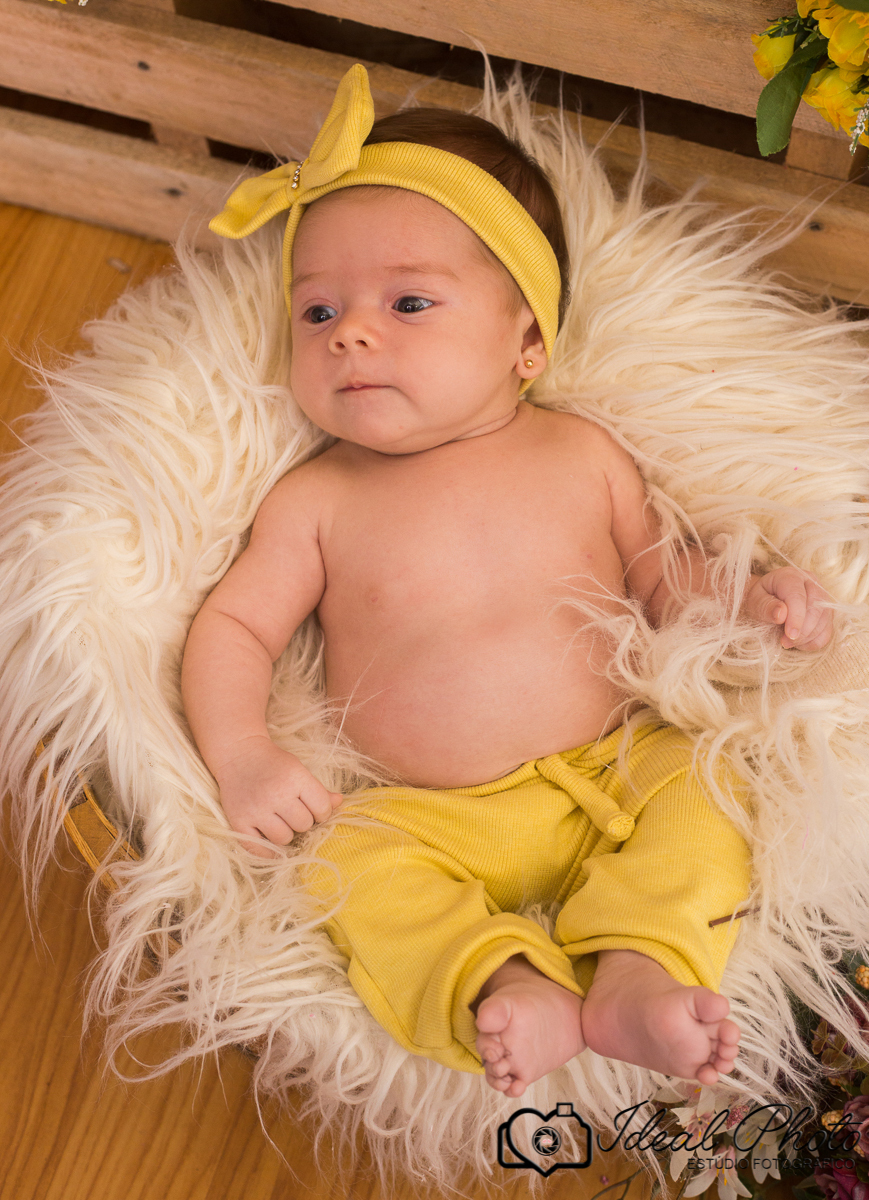 Aniversários, formaturas, retratos, eventos, ensaios, newborn, kids, bebes, acompanhamento em sao joão do sul e praia grande-sc anexo ao estúdio mais vida -Estúdio Fotográfico Ideal Photo por Joselaine Benfatto