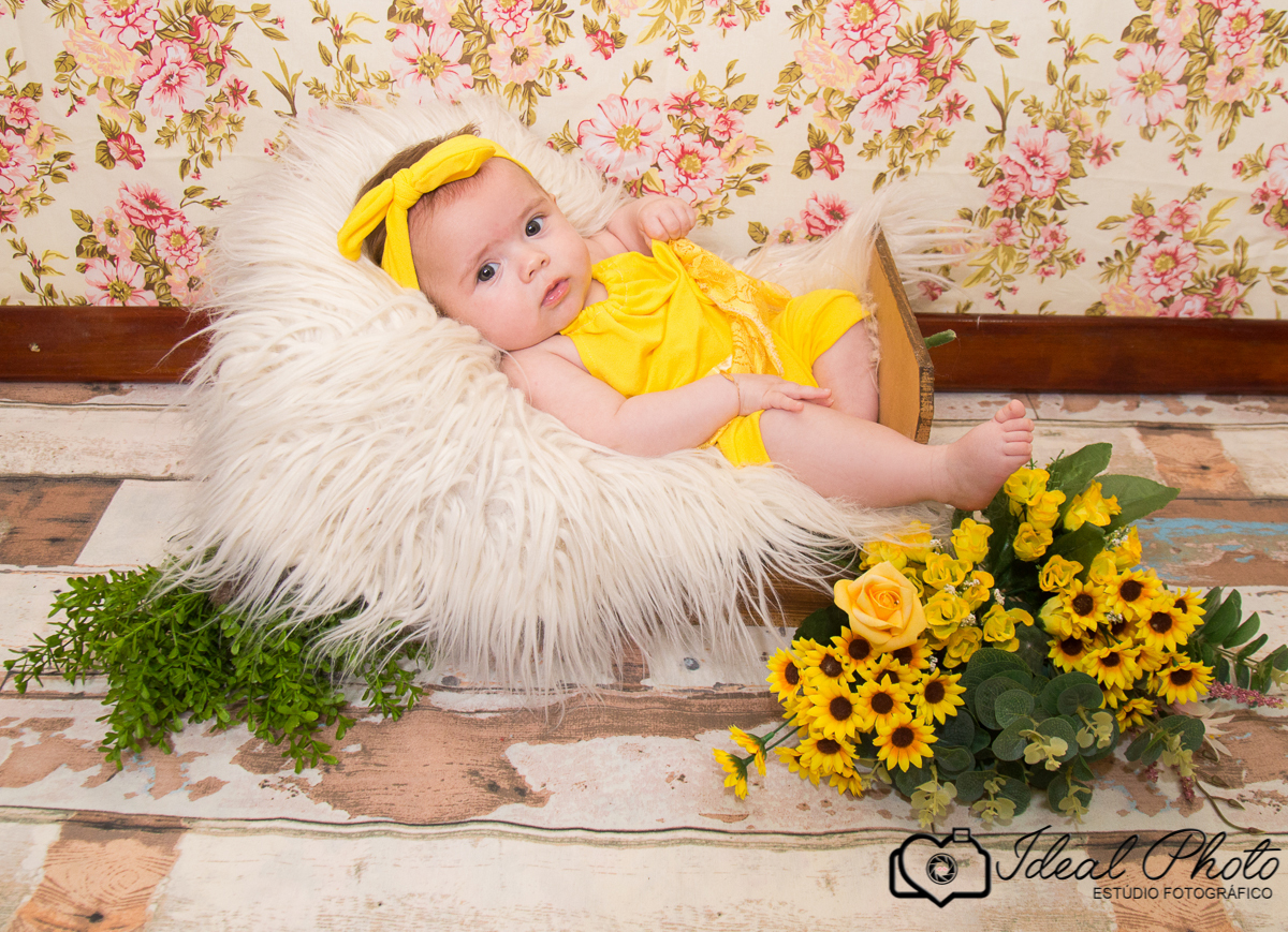 Aniversários, formaturas, retratos, eventos, ensaios, newborn, kids, bebes, acompanhamento em sao joão do sul e praia grande-sc anexo ao estúdio mais vida -Estúdio Fotográfico Ideal Photo por Joselaine Benfatto