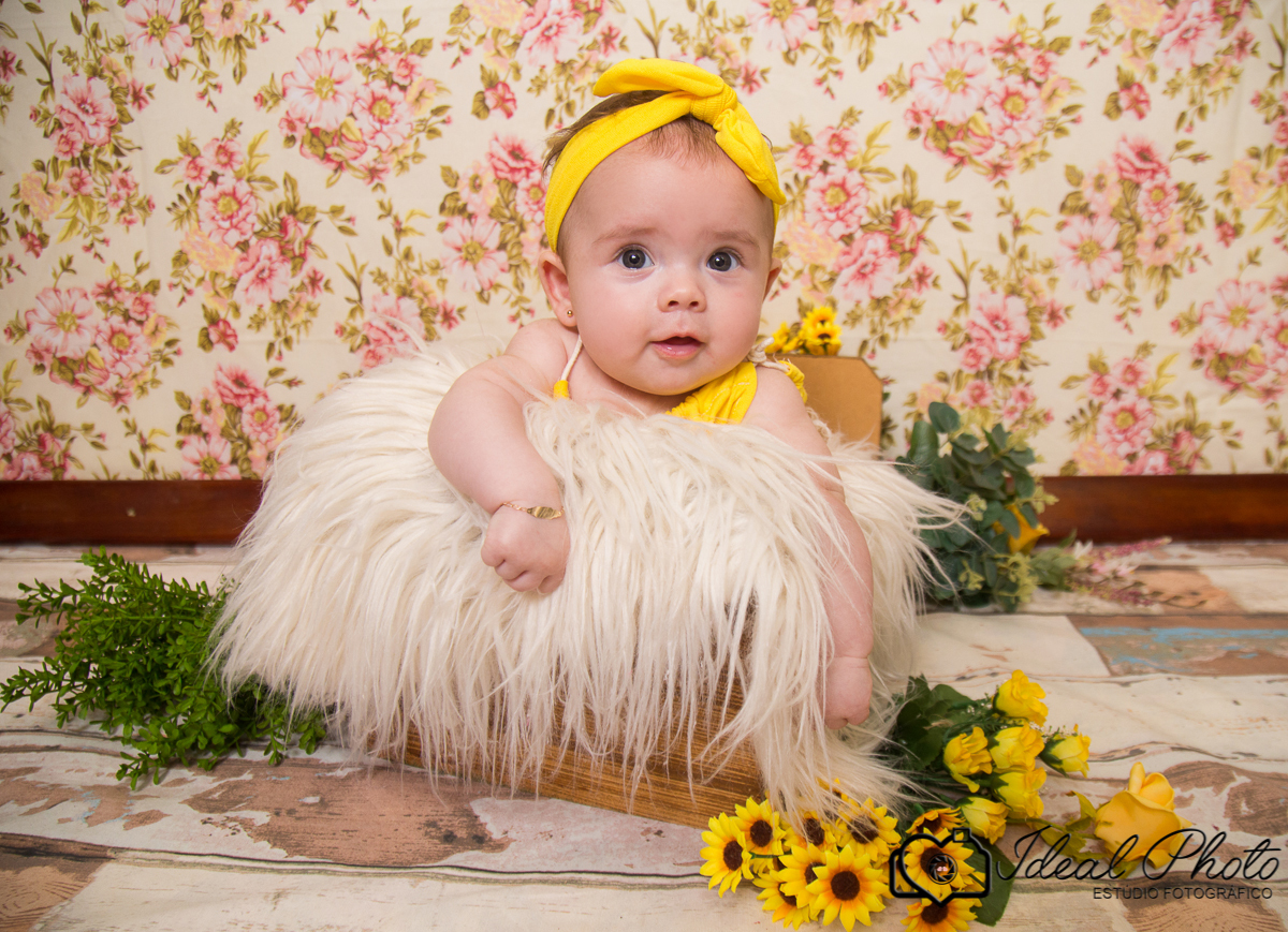 Aniversários, formaturas, retratos, eventos, ensaios, newborn, kids, bebes, acompanhamento em sao joão do sul e praia grande-sc anexo ao estúdio mais vida -Estúdio Fotográfico Ideal Photo por Joselaine Benfatto