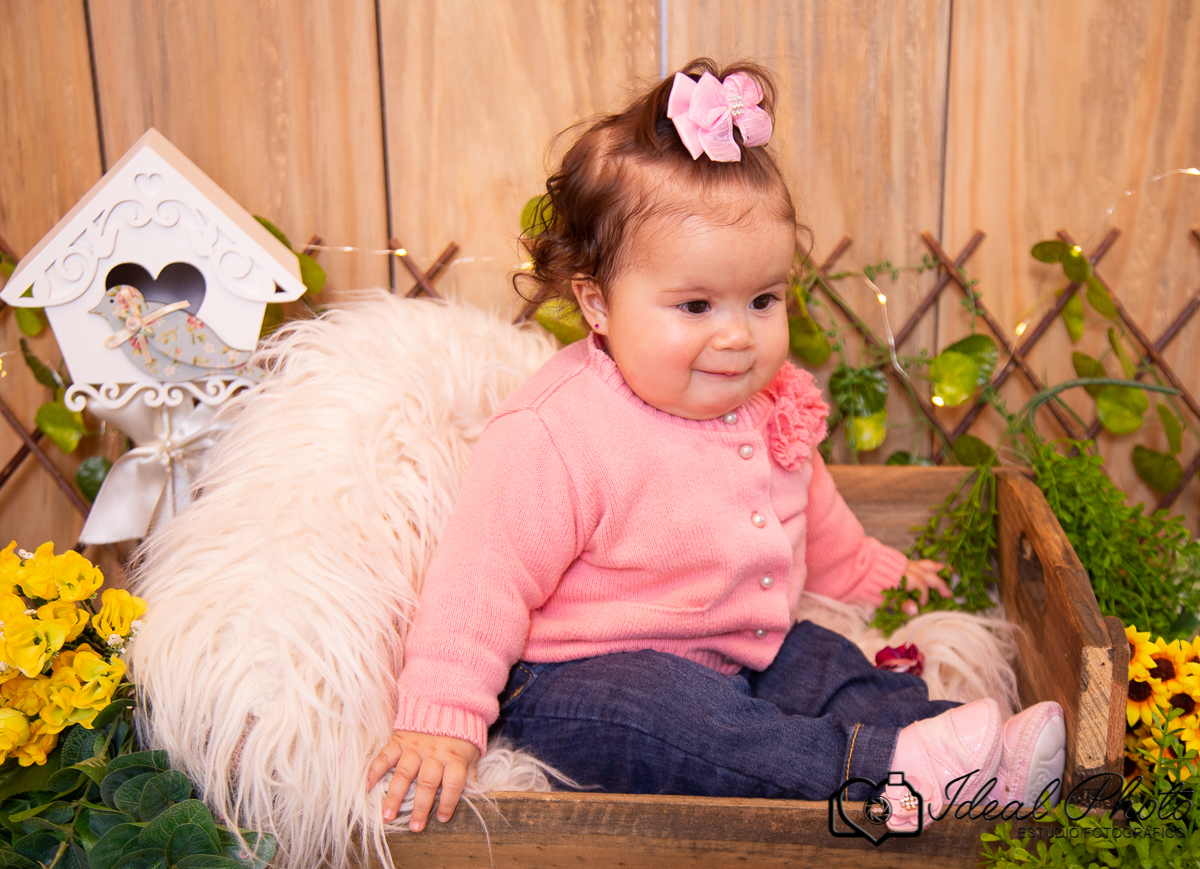 Aniversários, formaturas, retratos, eventos, ensaios, newborn, kids, bebes, acompanhamento em sao joão do sul e praia grande-sc anexo ao estúdio mais vida -Estúdio Fotográfico Ideal Photo por Joselaine Benfatto