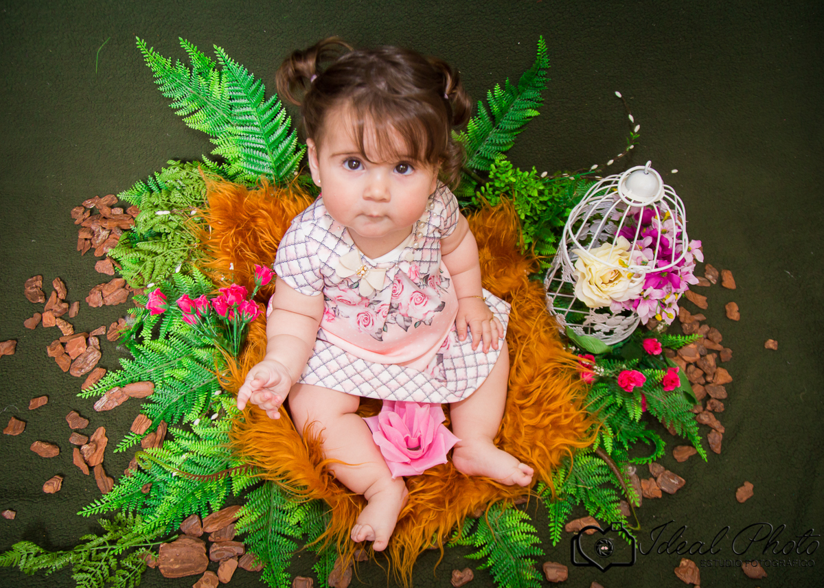 Aniversários, formaturas, retratos, eventos, ensaios, newborn, kids, bebes, acompanhamento em sao joão do sul e praia grande-sc anexo ao estúdio mais vida -Estúdio Fotográfico Ideal Photo por Joselaine Benfatto