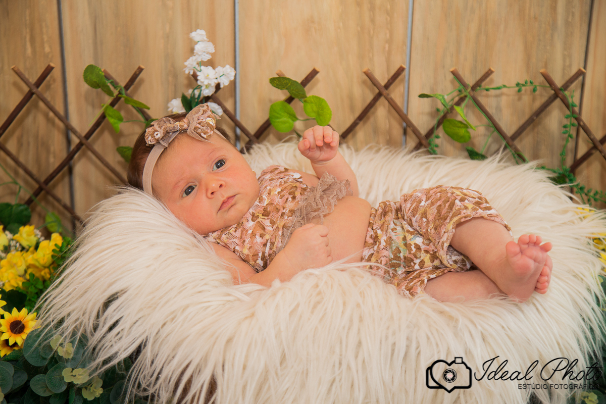 Aniversários, formaturas, retratos, eventos, ensaios, newborn, kids, bebes, acompanhamento em sao joao do sul e praia grande-sc-Estúdio Fotográfico Ideal Photo por Joselaine Benfatto