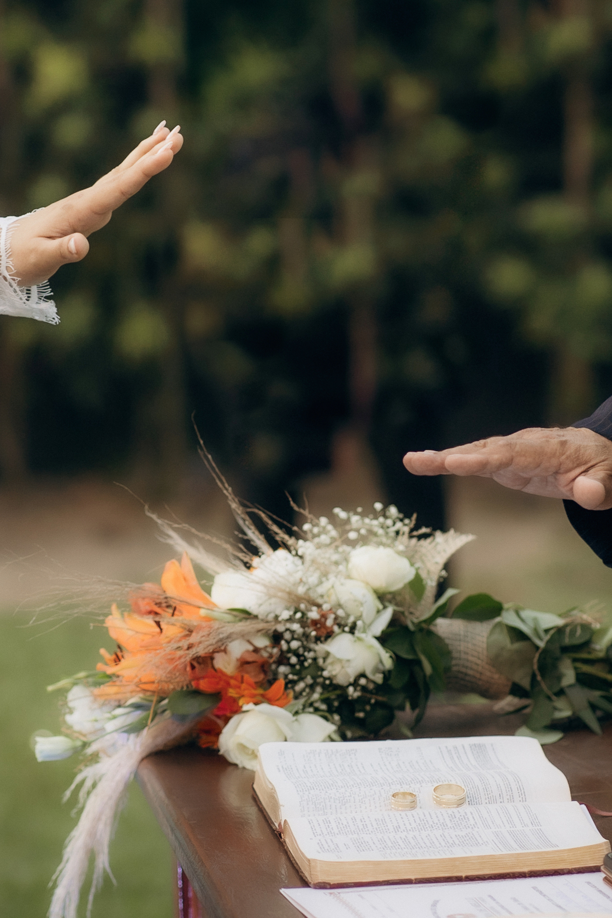 casamento, jardins recepções, 