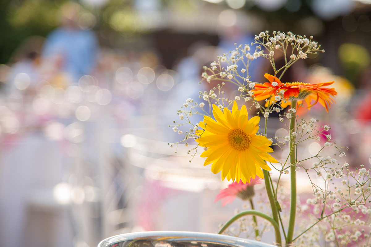Wedding Casamento Francis Renata