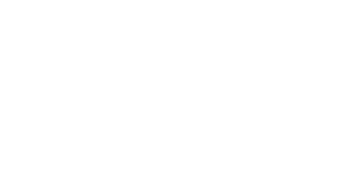 Logotipo de Nayara Lucide