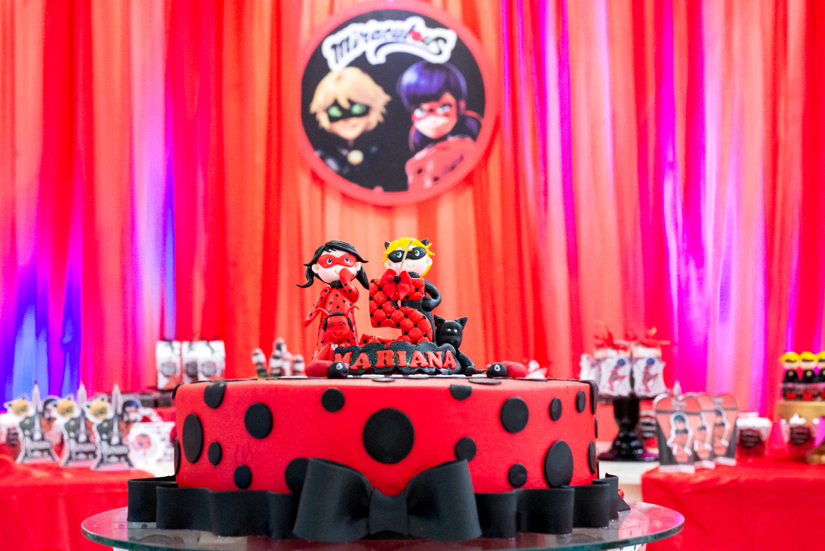 festa ladybug