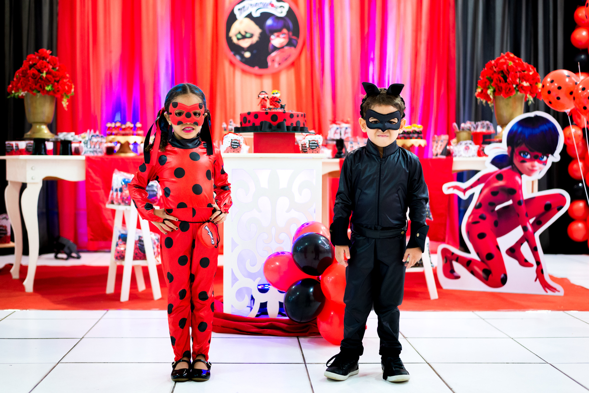 ladybug e cat noir